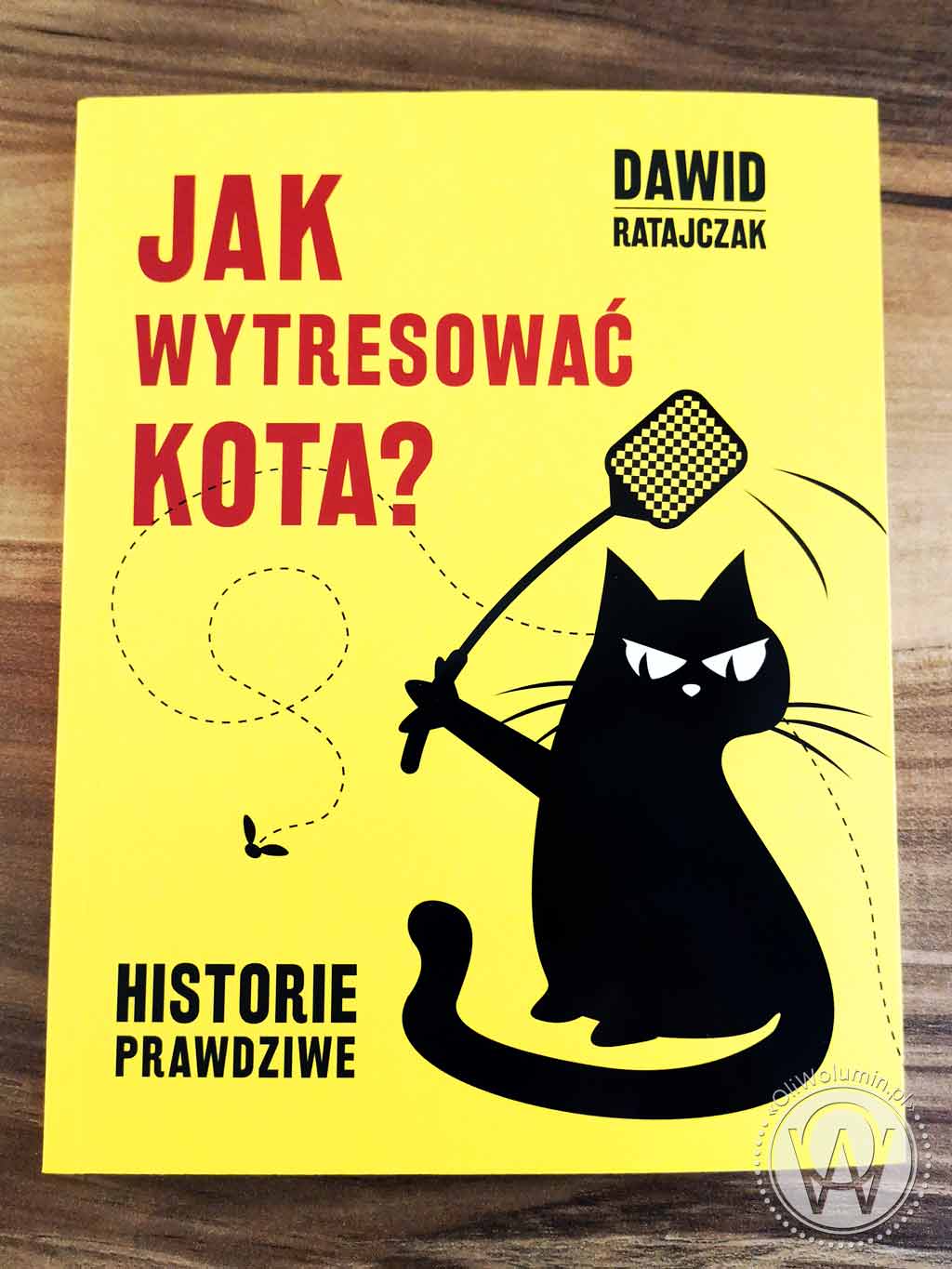 Dawid Ratajczak "Jak wytresować kota"