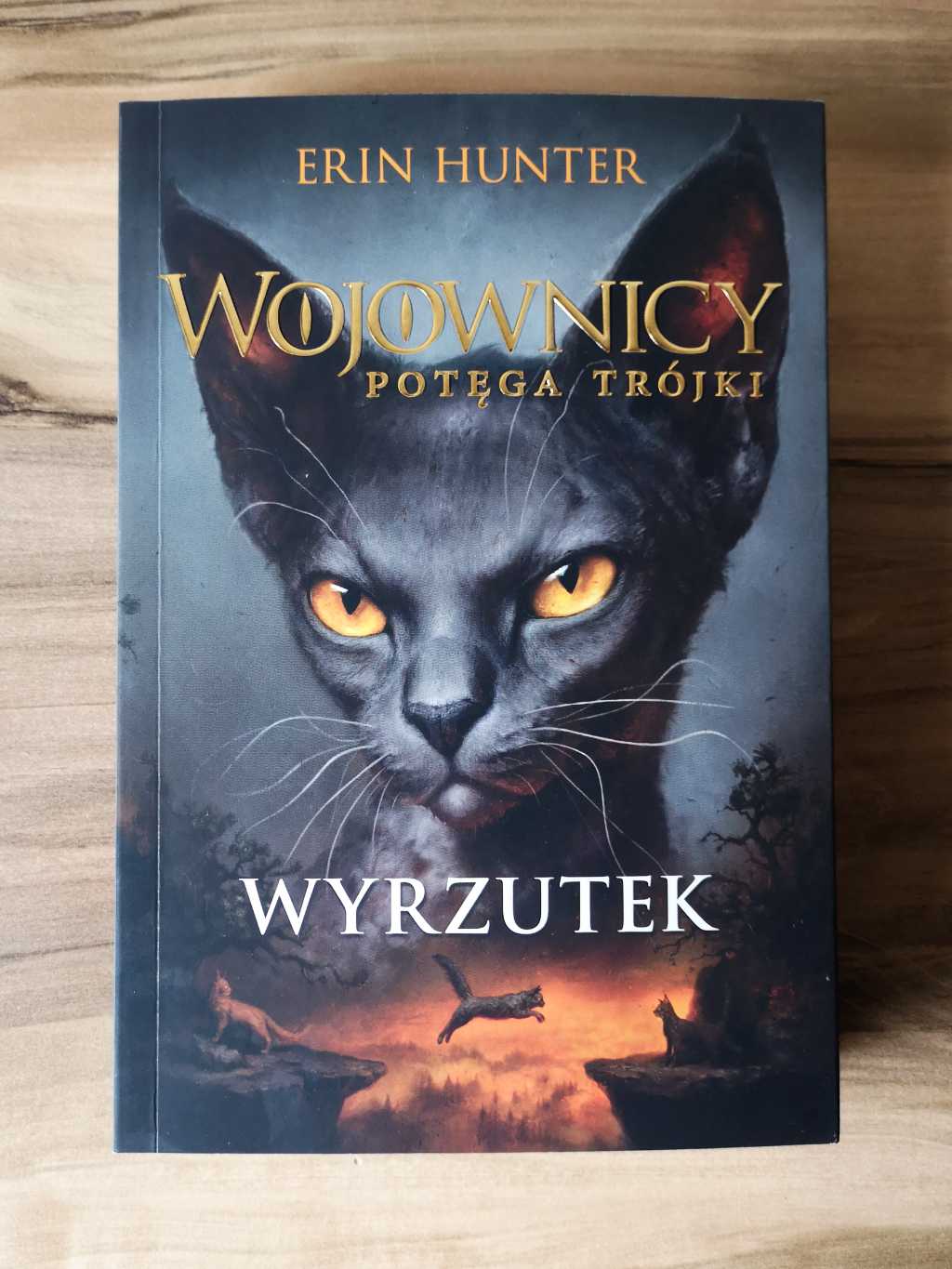 "Wyrzutek" Erin Hunter