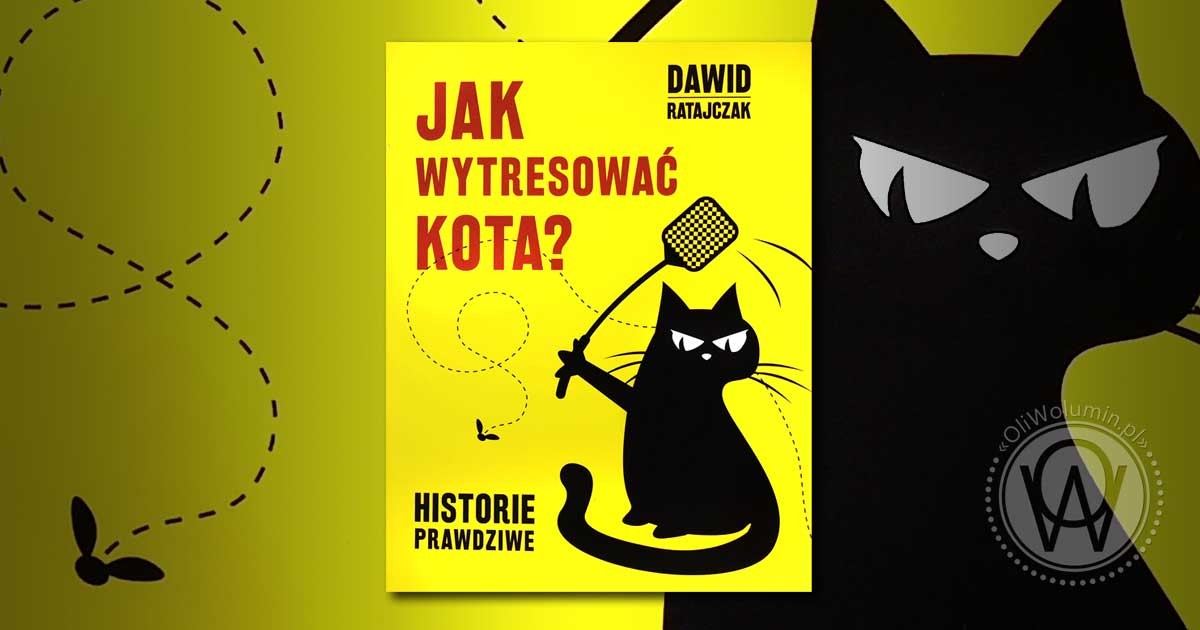 Recenzja "Jak wytresować kota" Dawid Ratajczak